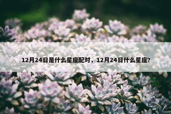 12月24日是什么星座配对，12月24日什么星座?