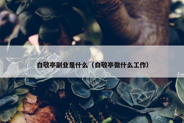 白敬亭副业是什么（白敬亭做什么工作）