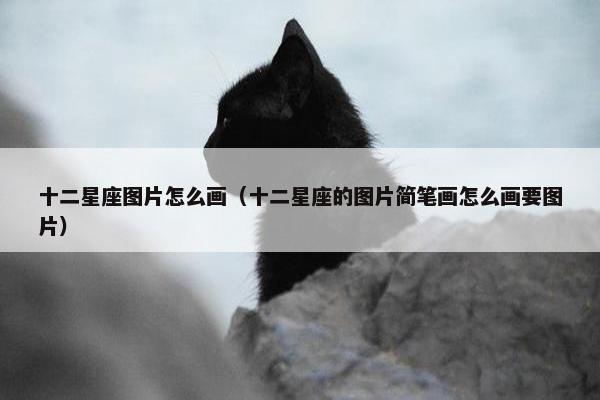 十二星座图片怎么画（十二星座的图片简笔画怎么画要图片）