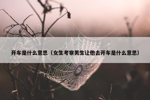 开车是什么意思（女生考察男生让他去开车是什么意思）