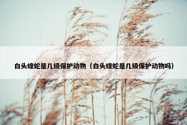 白头蝰蛇是几级保护动物（白头蝰蛇是几级保护动物吗）