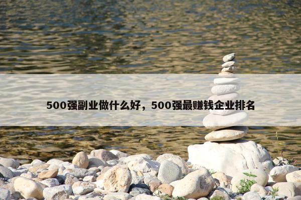 500强副业做什么好，500强最赚钱企业排名