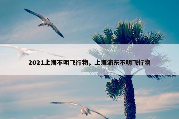 2021上海不明飞行物，上海浦东不明飞行物