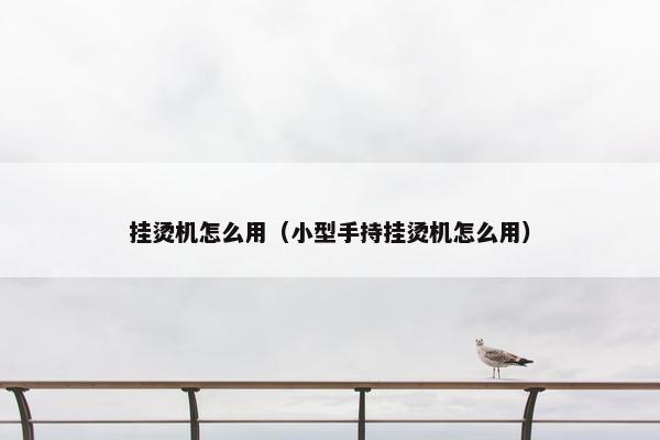 挂烫机怎么用（小型手持挂烫机怎么用）