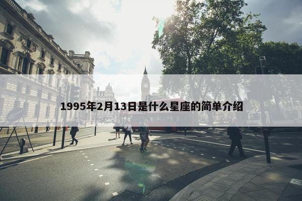 1995年2月13日是什么星座的简单介绍