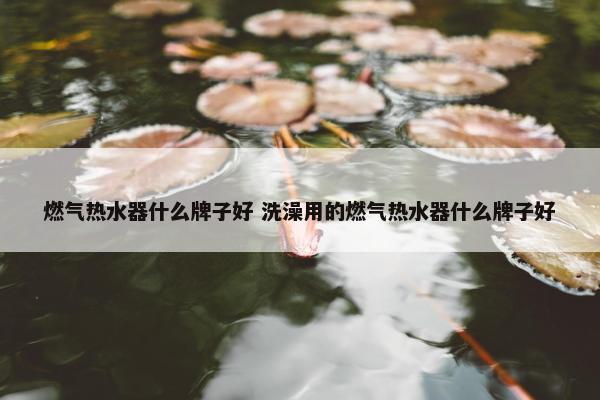 燃气热水器什么牌子好 洗澡用的燃气热水器什么牌子好