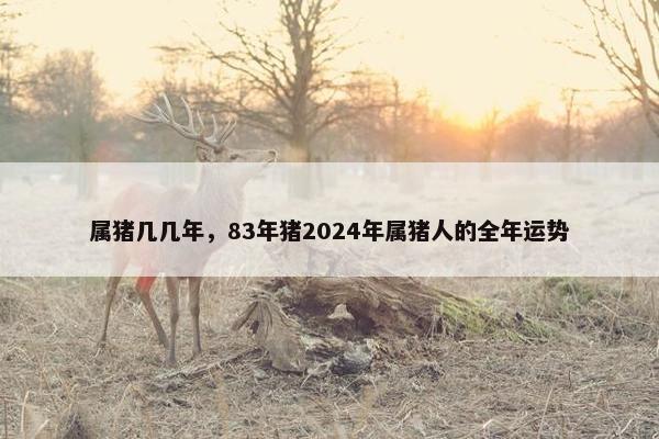 属猪几几年，83年猪2024年属猪人的全年运势