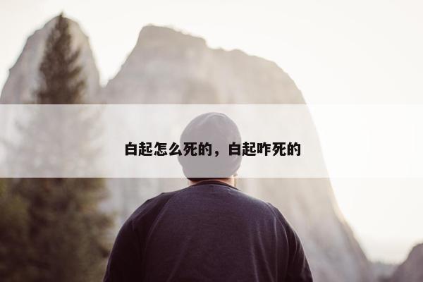 白起怎么死的，白起咋死的