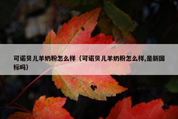 可诺贝儿羊奶粉怎么样（可诺贝儿羊奶粉怎么样,是新国标吗）