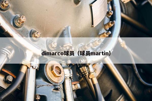 dimarco球员（球员martin）