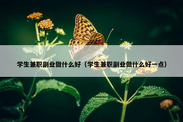 学生兼职副业做什么好（学生兼职副业做什么好一点）