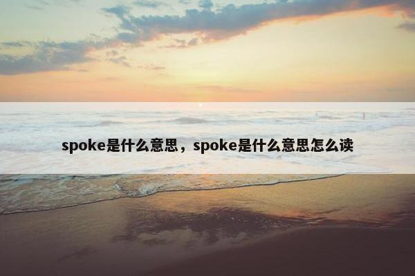 spoke是什么意思，spoke是什么意思怎么读