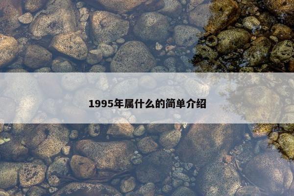 1995年属什么的简单介绍