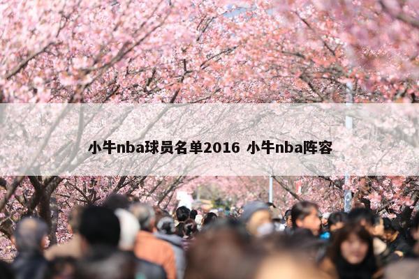 小牛nba球员名单2016 小牛nba阵容