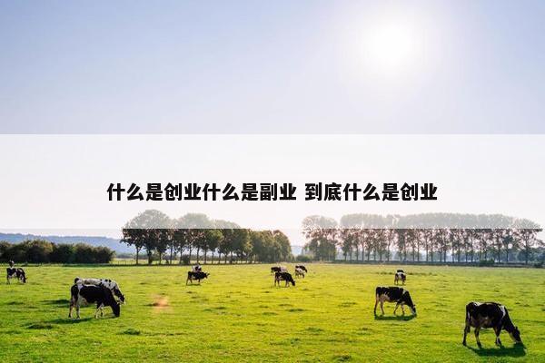 什么是创业什么是副业 到底什么是创业