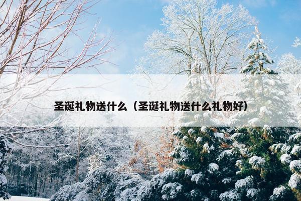 圣诞礼物送什么（圣诞礼物送什么礼物好）