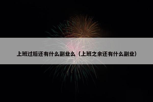 上班过后还有什么副业么（上班之余还有什么副业）