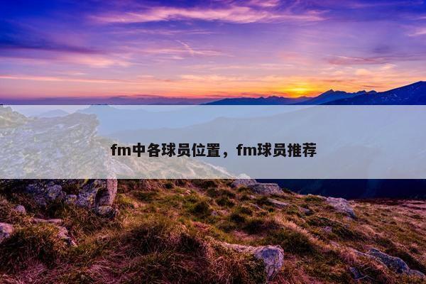 fm中各球员位置，fm球员推荐