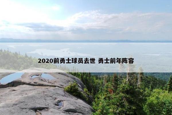 2020前勇士球员去世 勇士前年阵容