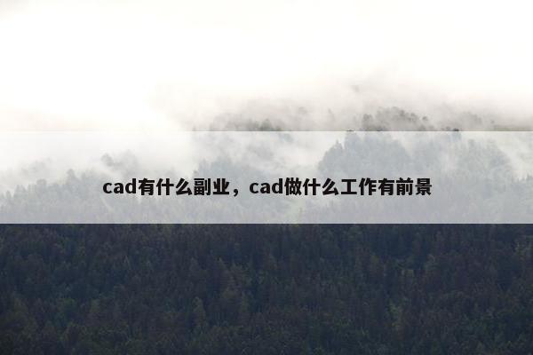 cad有什么副业，cad做什么工作有前景