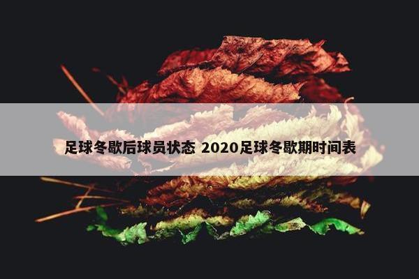 足球冬歇后球员状态 2020足球冬歇期时间表