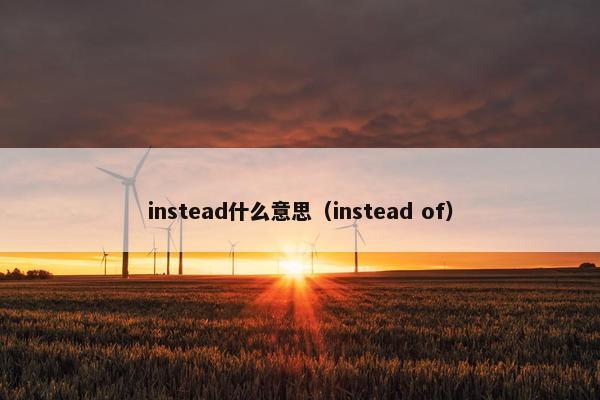 instead什么意思（instead of）