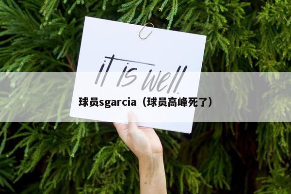 球员sgarcia（球员高峰死了）