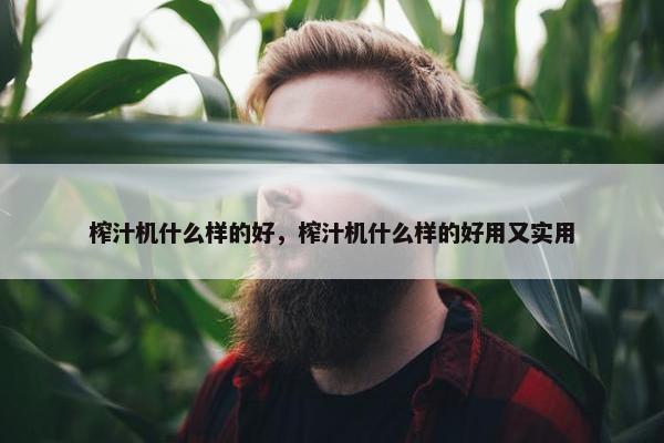 榨汁机什么样的好，榨汁机什么样的好用又实用