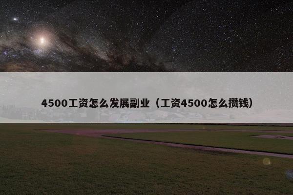 4500工资怎么发展副业（工资4500怎么攒钱）