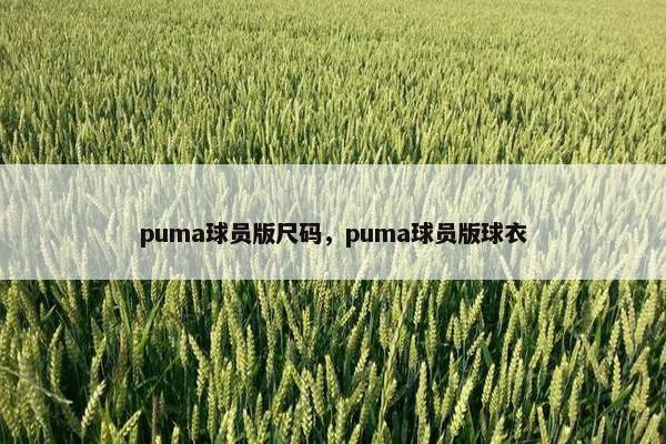 puma球员版尺码，puma球员版球衣