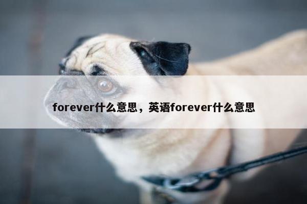 forever什么意思，英语forever什么意思