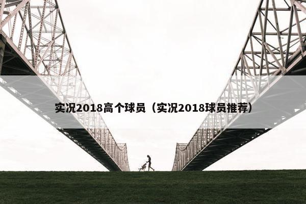 实况2018高个球员（实况2018球员推荐）