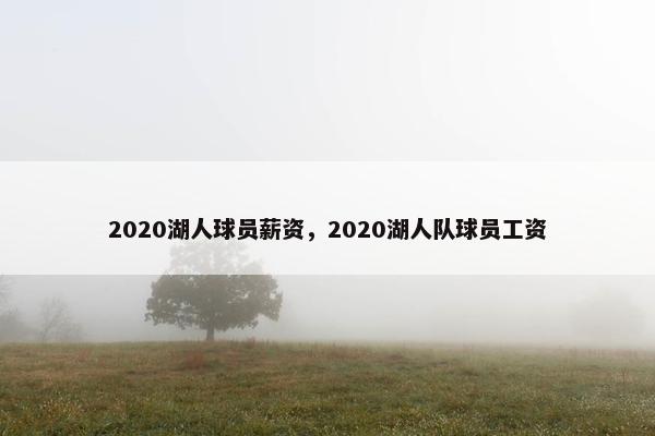 2020湖人球员薪资，2020湖人队球员工资