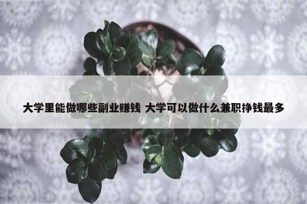 大学里能做哪些副业赚钱 大学可以做什么兼职挣钱最多