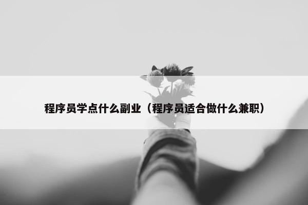 程序员学点什么副业（程序员适合做什么兼职）