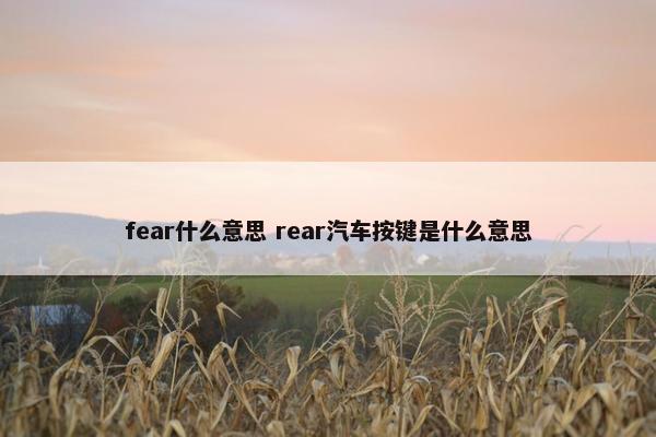 fear什么意思 rear汽车按键是什么意思