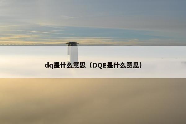 dq是什么意思（DQE是什么意思）