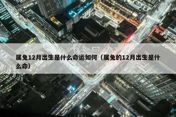 属兔12月出生是什么命运如何（属兔的12月出生是什么命）