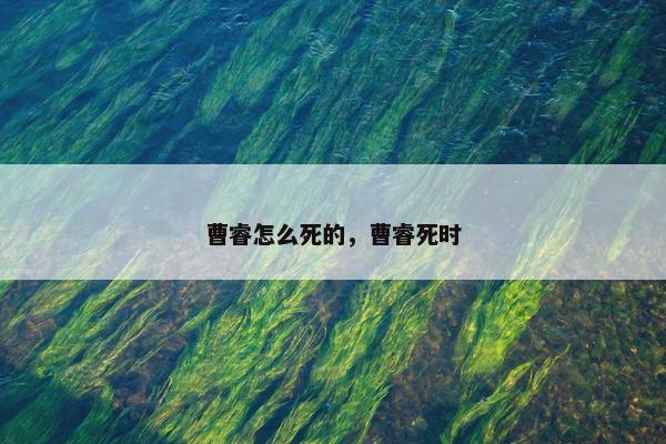 曹睿怎么死的，曹睿死时