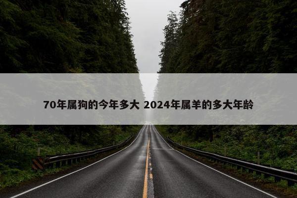 70年属狗的今年多大 2024年属羊的多大年龄