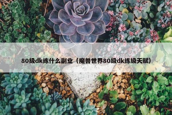 80级dk练什么副业（魔兽世界80级dk练级天赋）