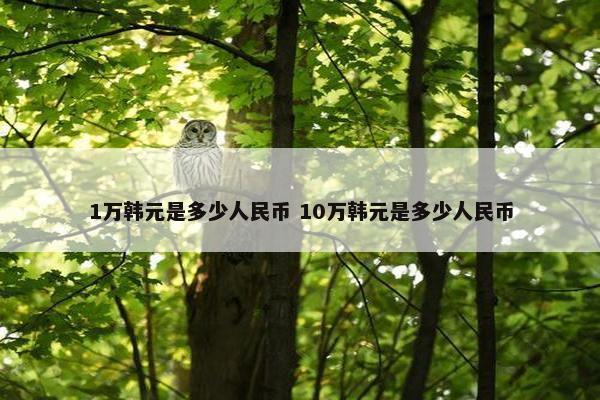 1万韩元是多少人民币 10万韩元是多少人民币