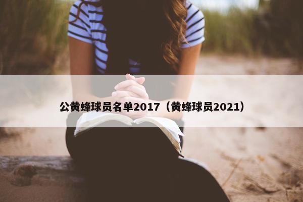 公黄蜂球员名单2017（黄蜂球员2021）