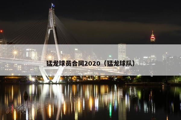 猛龙球员合同2020（猛龙球队）