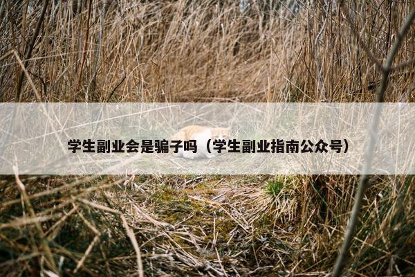 学生副业会是骗子吗（学生副业指南公众号）