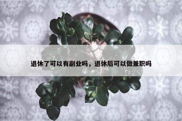 退休了可以有副业吗，退休后可以做兼职吗