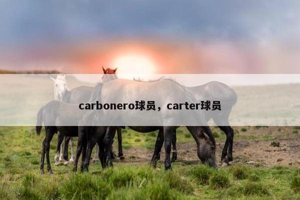 carbonero球员，carter球员