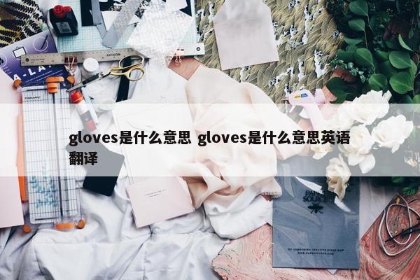 gloves是什么意思 gloves是什么意思英语翻译