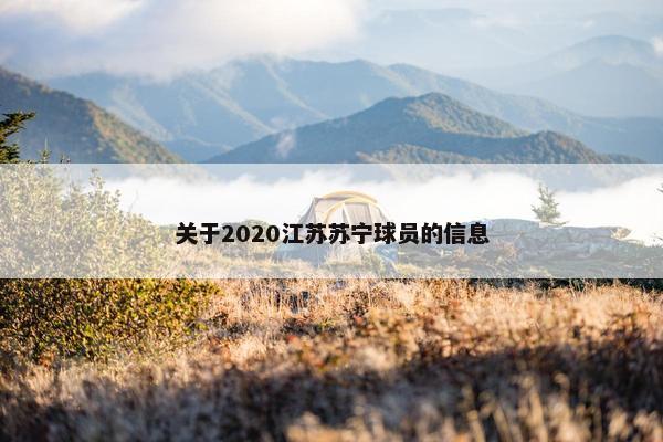 关于2020江苏苏宁球员的信息