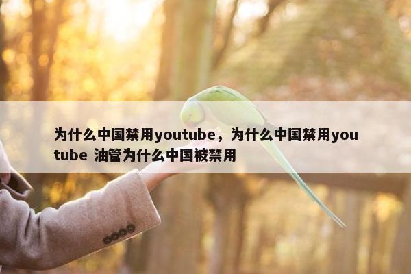 为什么中国禁用youtube，为什么中国禁用youtube 油管为什么中国被禁用